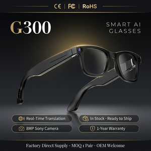 AI Powered Smart Glasses with Real Time Translation
