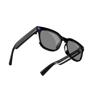 ChatGPT Smart Spectacles 8MP Camera